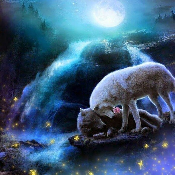 Meet your Posher, Victoria - Picture 1 of 1